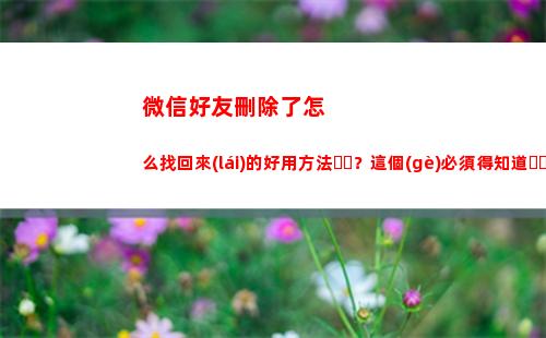 微信好友刪除了怎么找回來(lái)的好用方法？這個(gè)必須得知道！(微信好友刪除了怎樣恢復(fù))